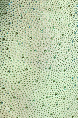 Embellished Fishtail Maxi Dress in Pistachio